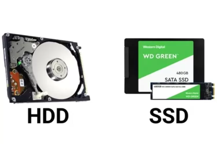 Ini Perbedaan SSD dan HDD pada Laptop, Pengguna Wajib Tahu ...