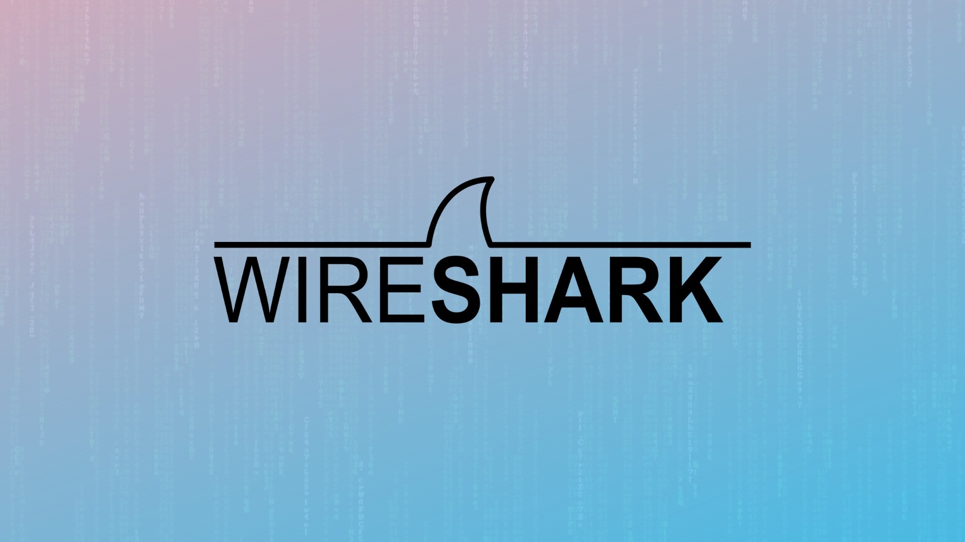 Wireshark